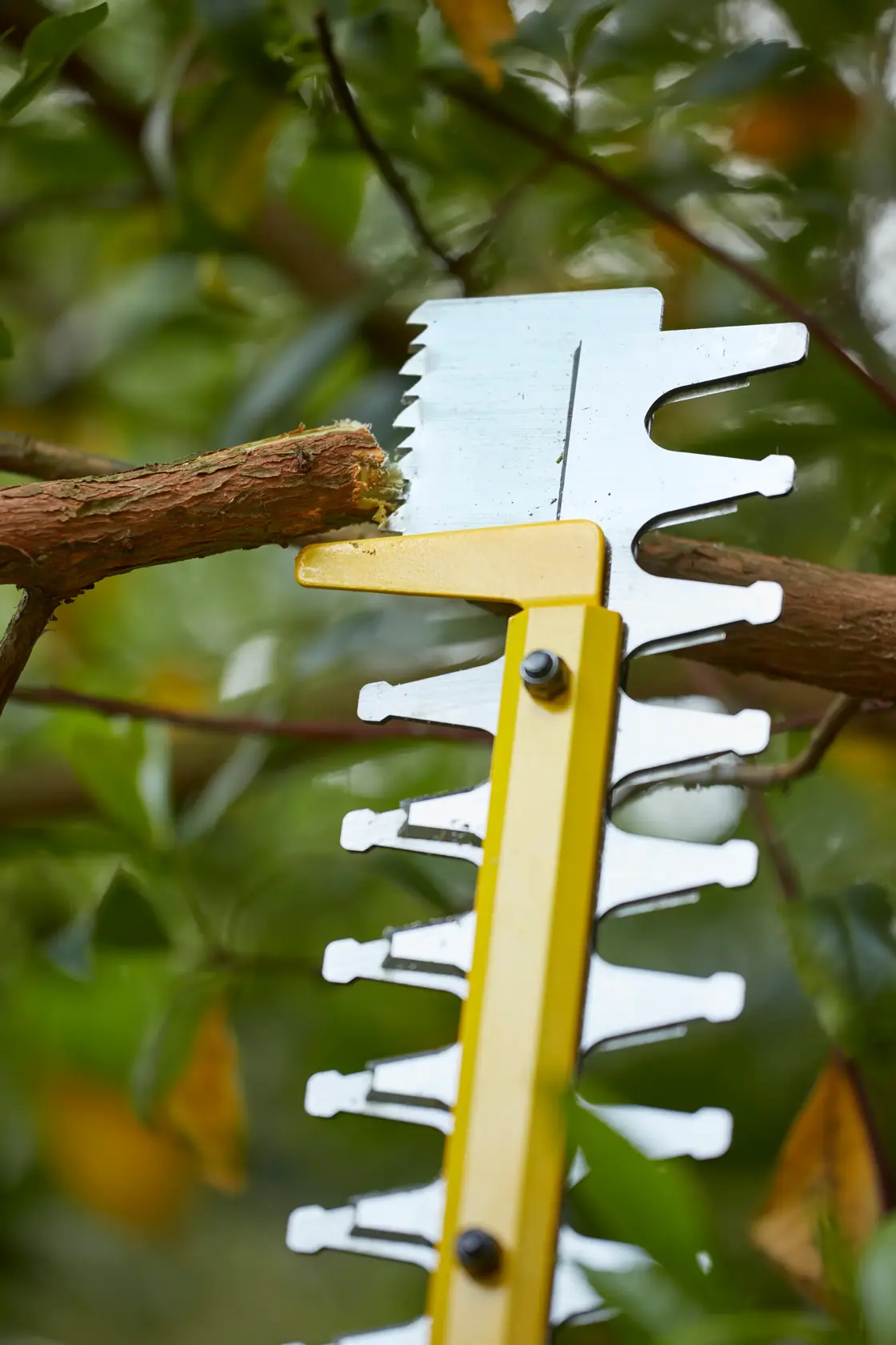 Taille-haies 55 cm 18V STANLEY® FATMAX® V20 - sans batterie ni chargeur