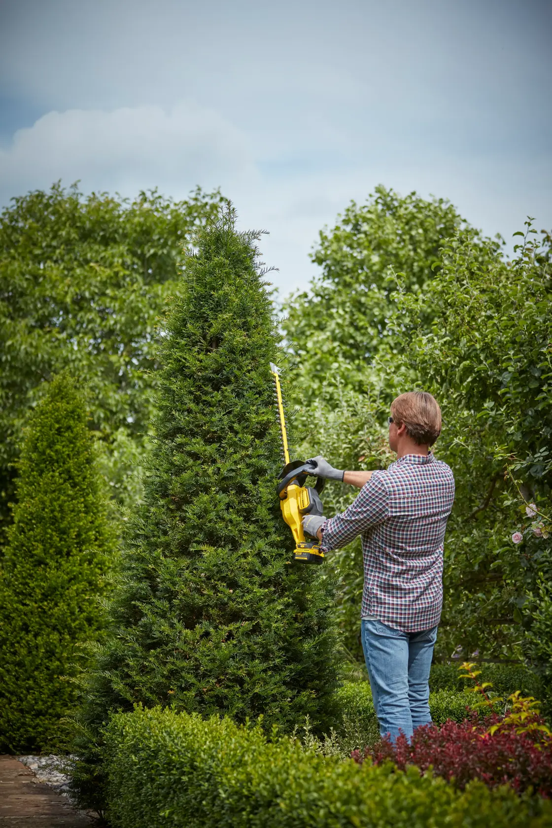 Taille-haies 55cm 18V STANLEY® FATMAX® V20 (1 batterie 4Ah)