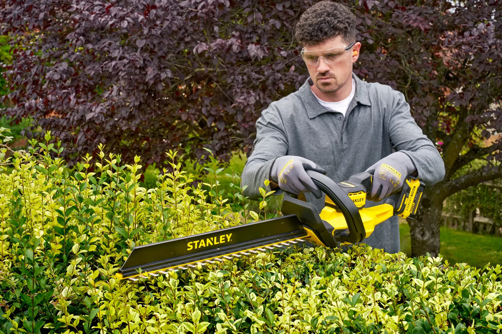 STANLEY STCHT8255B hedge trimmer in use trimming green bushes outdoors.