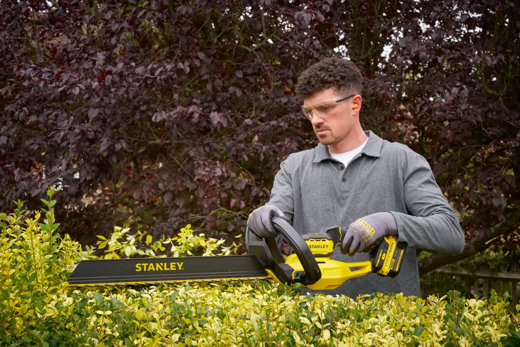 STANLEY STCHT8255B hedge trimmer in use outdoors, yellow and black color, product photography.