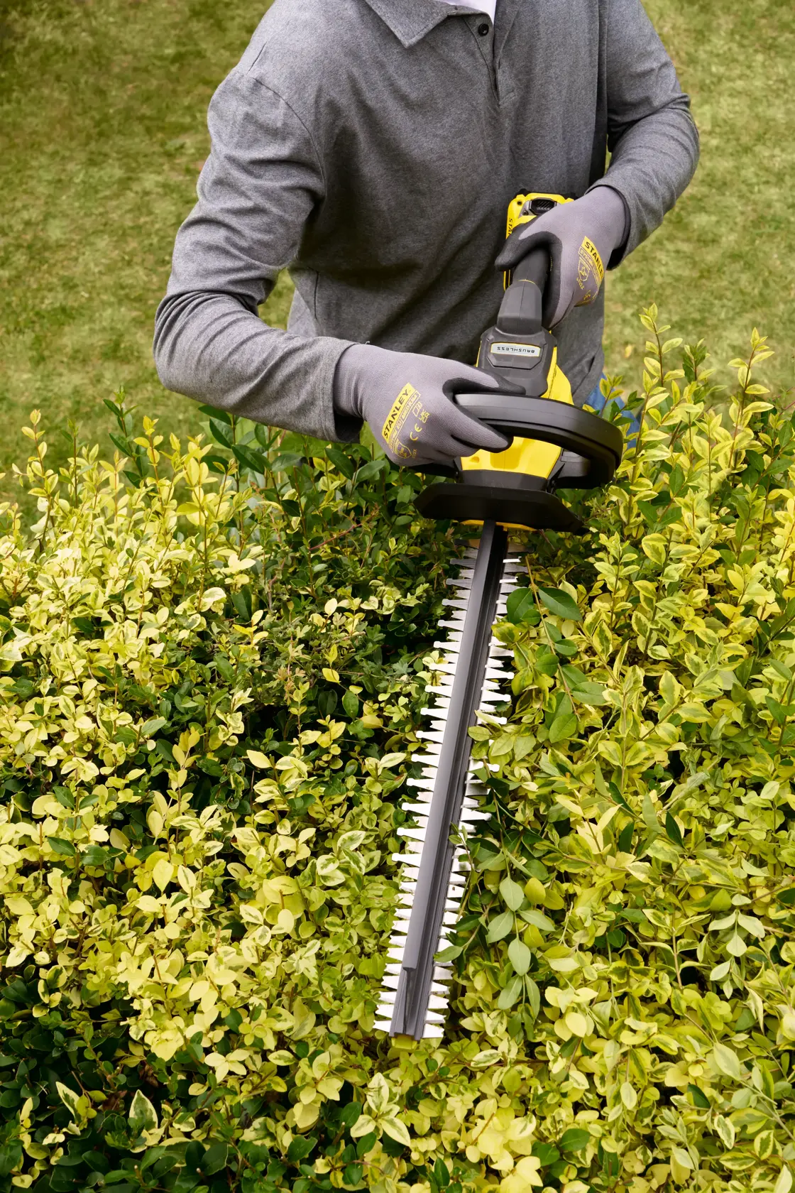 Photo of person using STANLEY STCHT8255B hedge trimmer on green and yellow hedge outdoors.